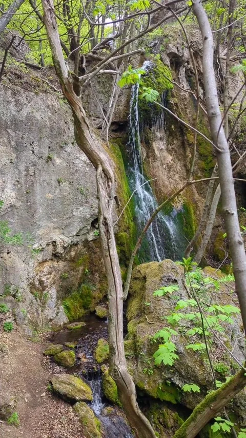 Waterfall in the forest in the mountains in early spring Stock Footage 242174823