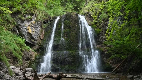 A waterfall in a forest in the mountains Video stock 217381519