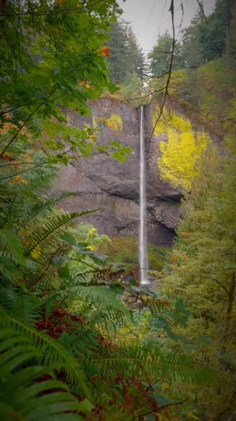 Waterfall in the forest with mountains Stock Footage 274274433