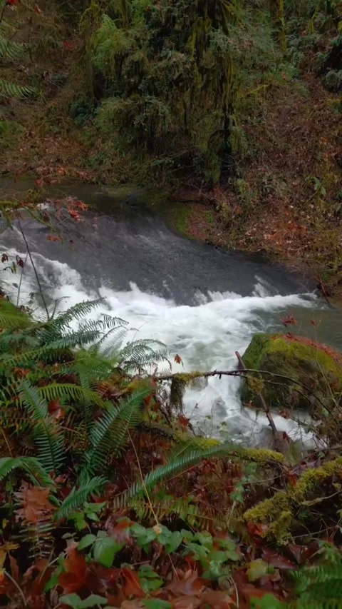 Waterfall in the forest with mountains Stock Footage 274281441
