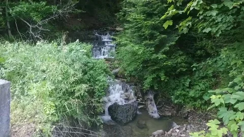 Waterfall in the forest MVI 9341 540 Stock Footage 168025150