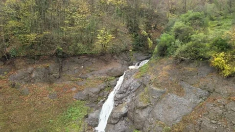 Waterfall forest nature Video stock 239273735