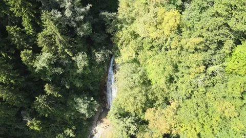 Waterfall forest nature Stock Footage 240768557