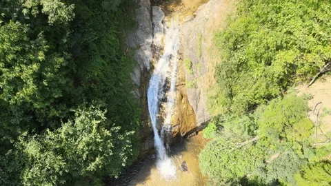 Waterfall forest nature Stock Footage 240769802