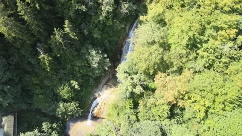 Waterfall forest nature Stock Footage 240769997