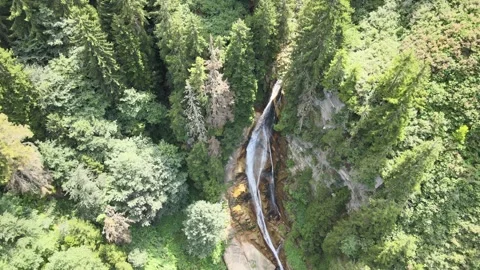Waterfall forest nature Vídeo Stock 240772998