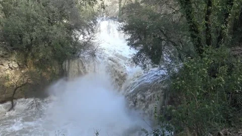 Waterfall forest nature Stock-Footage 270816774