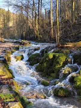 Waterfall forest nature Foto stock