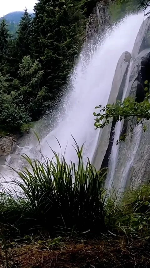 Waterfall in forest nature reserve Video stock 228686003