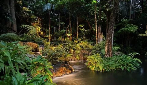 Waterfall in forest at the night Stock Photos
