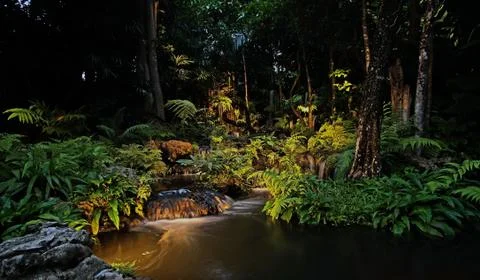 Waterfall in forest at the night Stock Photos