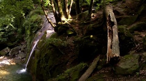 Waterfall in a forest in the North Caucasus Stock Footage 7752408