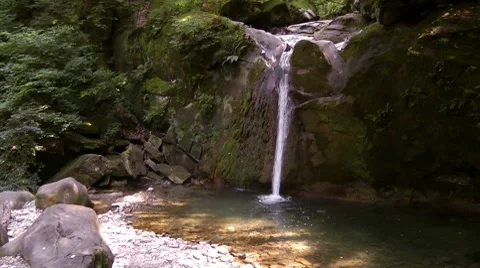 Waterfall in a forest in the North Caucasus Stock Footage 7752479
