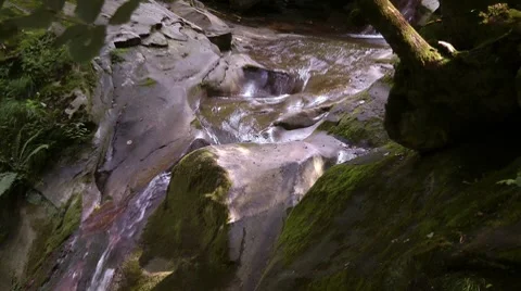 Waterfall in a forest in the North Caucasus Stock Footage 7752659