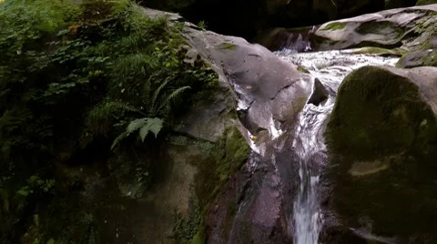 Waterfall in a forest in the North Caucasus Stock Footage 7752704