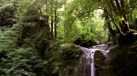 Waterfall in a forest in the North Caucasus Stock Footage 7752875