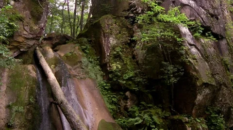 Waterfall in a forest in the North Caucasus Stock Footage 7756644