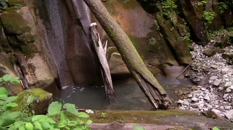 Waterfall in a forest in the North Caucasus Stock Footage 7756837