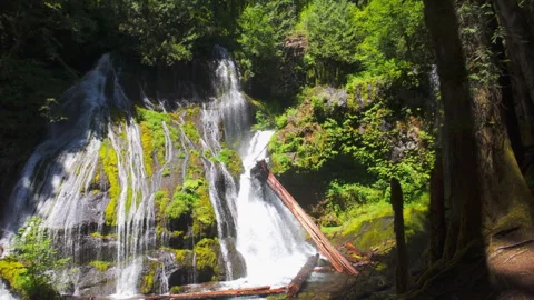 Waterfall in the Forest of Oregon Stock Footage 294475756