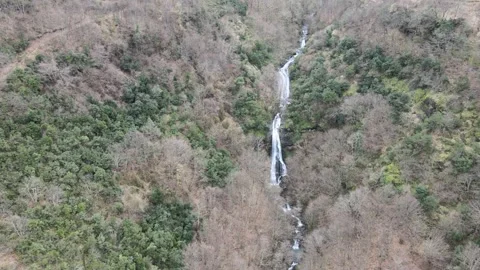 Waterfall forest paradise Stock Footage 263920434