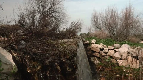 Waterfall in forest park in Madrid Video stock 150308796