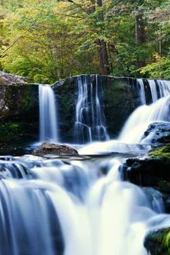 Waterfall in forest Stock-Fotos