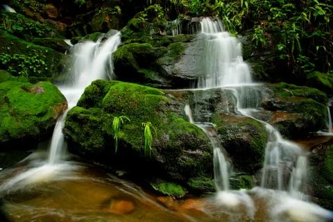 Waterfall in forest Stock Photos