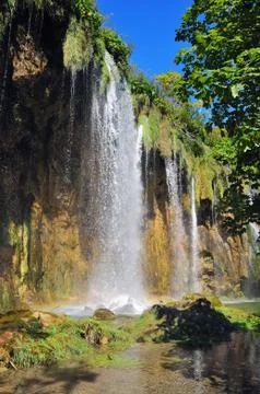 Waterfall in the forest Stock Photos