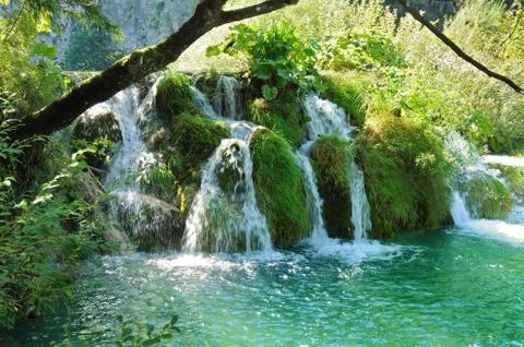 Waterfall in the forest Stock Photos