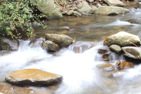 Waterfall in forest Stock Photos