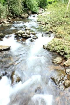Waterfall in forest Stock Photos