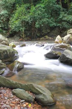 Waterfall in forest 스톡 사진