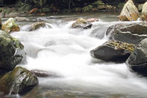 Waterfall in forest Stock Photos