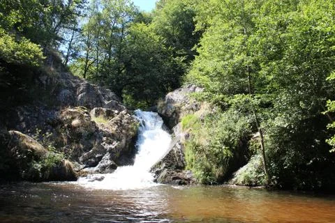 Waterfall in the forest Fotos de archivo