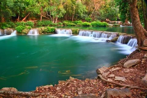 Waterfall in forest Stock Photos