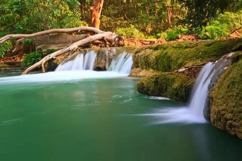 Waterfall in forest Stock Photos