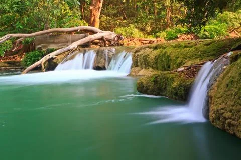 Waterfall in forest Stock Photos