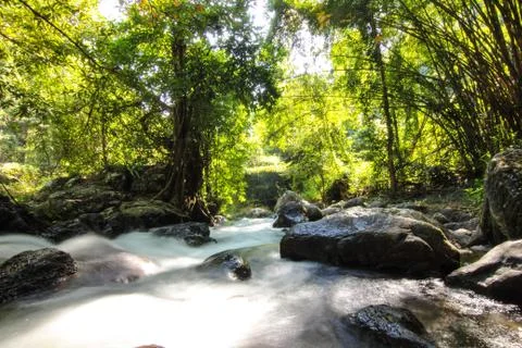 Waterfall in forest Stock Photos