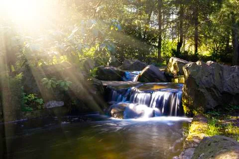 Waterfall in forest Stock Photos