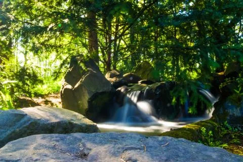 Waterfall in forest Foto stock