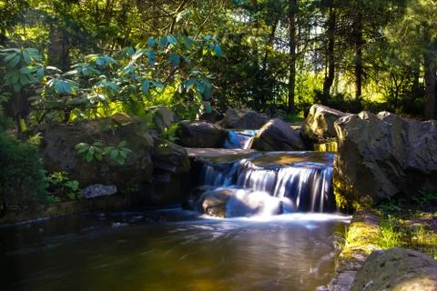 Waterfall in forest Foto stock