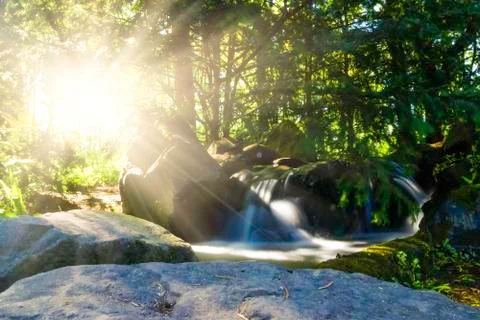 Waterfall in forest Stock Photos
