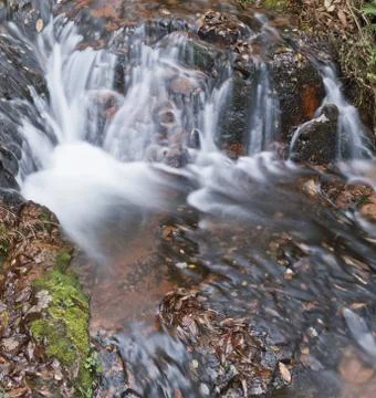 Waterfall in the forest Foto stock