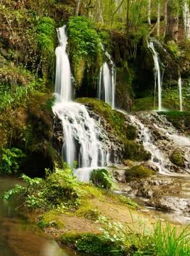Waterfall in the forest Stock-Fotos