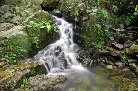 Waterfall in forest Stock Photos