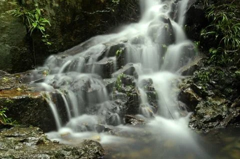 Waterfall in forest Foto stock