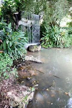 Waterfall in the forest. Stock Photos