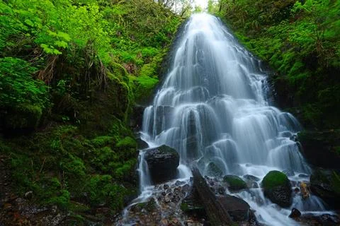 Waterfall in forest Stock Photos
