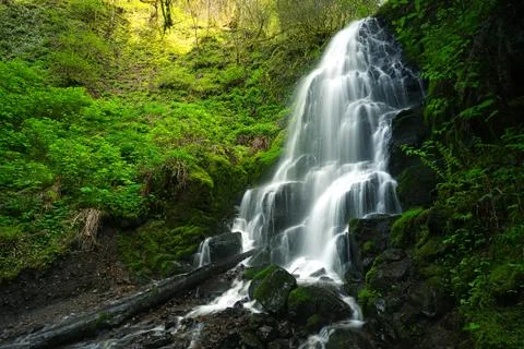 Waterfall in forest Stock Photos