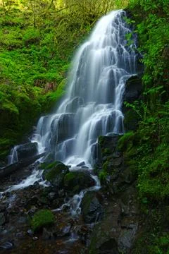 Waterfall in forest Stock Photos